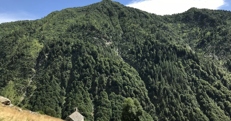 Est-il possible de grimper l'Everest sans expérience ?