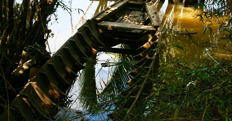 Les risques réels : que faut-il vraiment craindre en Amazonie ?