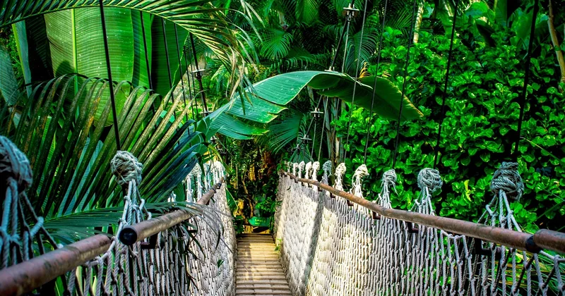 La jungle amazonienne vaut-elle vraiment le détour ?